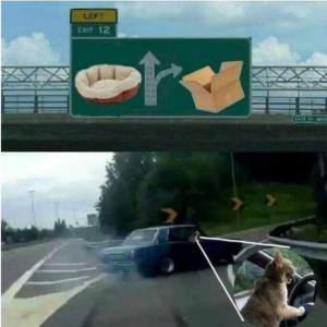 Stupid Bar Memes adfef83ff9c568a3