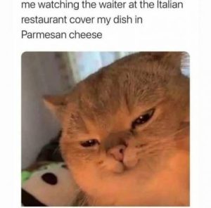 Stupid Bar Memes af71694730203ce8