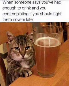 Stupid Bar Memes animalss25