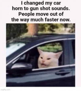 Stupid Bar Memes b047142db98e111f