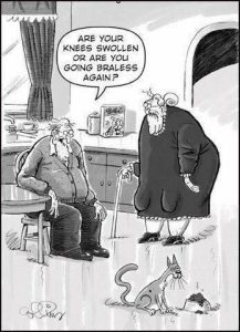 Stupid Bar Memes b19d72952aae8f23