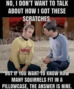 Stupid Bar Memes b48ccc4969cad20a