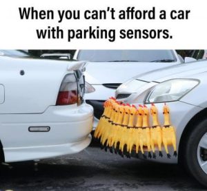 Stupid Bar Memes b5a0cc54687c0868