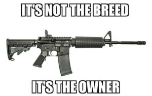 Stupid Bar Memes b5db6be6134455b8