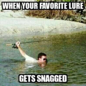 Stupid Bar Memes b73dd5f13c40392b
