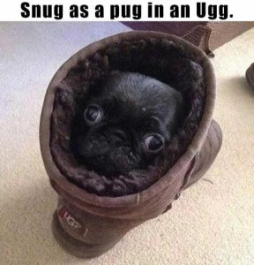 Stupid Bar Memes b804a51f7c4928fa