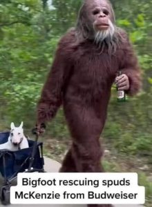 Stupid Bar Memes bc069a374450da24