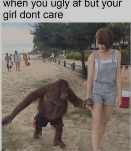 Stupid Bar Memes bff22512556fb159