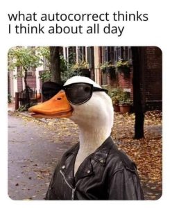 Stupid Bar Memes c6ba5c1e44dc08a5