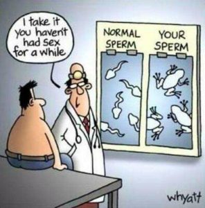 Stupid Bar Memes c6f5c765228c5d8d