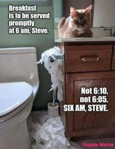 Stupid Bar Memes c722ad46a1c90646