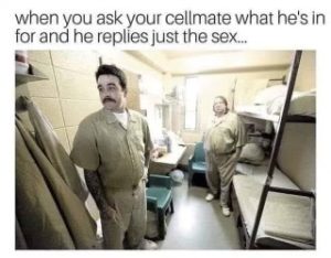 Stupid Bar Memes c7564be7ae3545d5