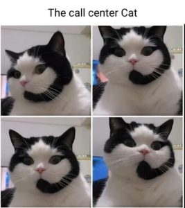 Stupid Bar Memes c881861e920d6951