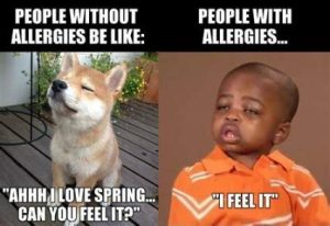 Stupid Bar Memes c9561135f2e28b40