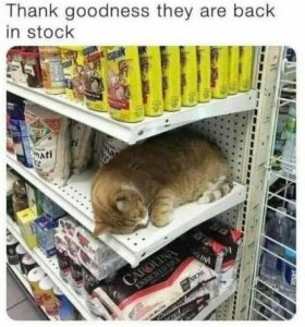Stupid Bar Memes c956fec0267af187