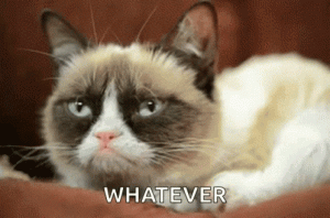 Stupid Bar Memes catskitty