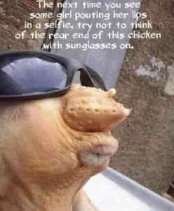Stupid Bar Memes d0c39e8680b737cf