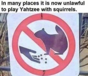 Stupid Bar Memes d1da31022625811f