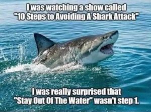 Stupid Bar Memes d33c480f7bf72daa