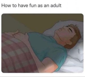 Stupid Bar Memes d399e5278fd22c0f