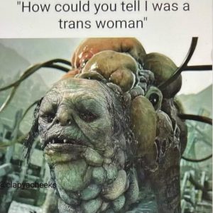 Stupid Bar Memes d7380d5756c0af5c