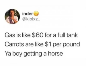 Stupid Bar Memes d8b2078976610e07244f4df3d0c59ff4
