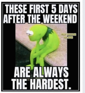Stupid Bar Memes d9825fa94017d8cc