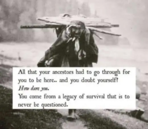 Stupid Bar Memes d9b04466d09bd7f5
