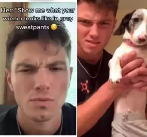 Stupid Bar Memes e4a03ecfba277fa5