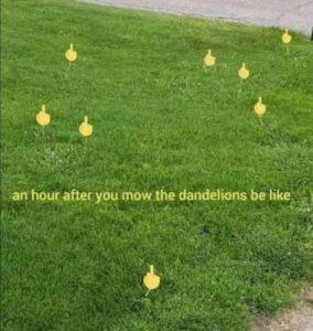 Stupid Bar Memes e54a69d81236b98c