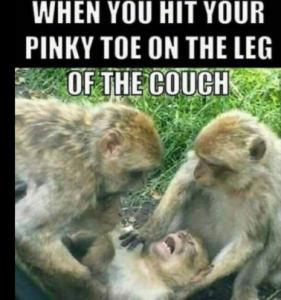 Stupid Bar Memes e84a1fddded8320d