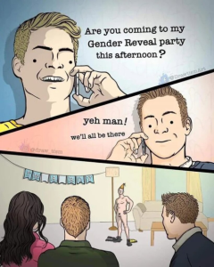 Stupid Bar Memes e9d39b15e059f2c9