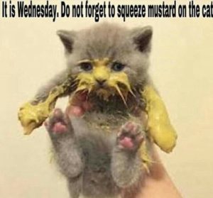 Stupid Bar Memes ecadf10244f41913