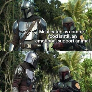 Stupid Bar Memes ecf356935260693e