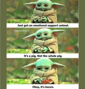 Stupid Bar Memes ef6de466fa5e4a61