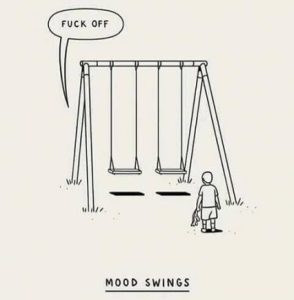 Stupid Bar Memes f03042f094f0d978