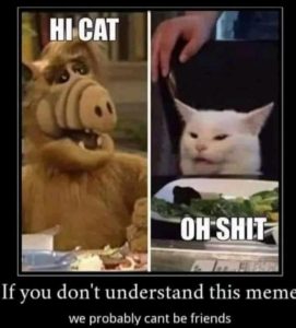 Stupid Bar Memes f32e577165794bd9