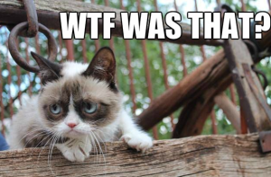 Stupid Bar Memes f42cda66f145fa37e91d4fda3e5f1fa0ssgooglessearchsgrumpyscat