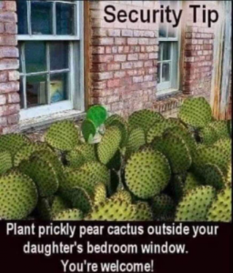 Stupid Bar Memes f5e41af53639f26e
