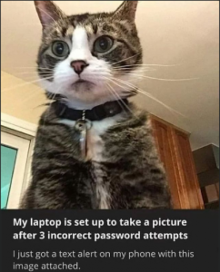 Stupid Bar Memes f73408b903cf5fe5