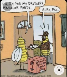 Stupid Bar Memes f8ec0e8887cb9ac3