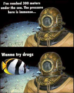 Stupid Bar Memes f938f41636d2298f