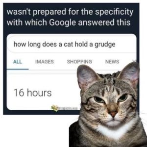 Stupid Bar Memes f940242d45c17a24