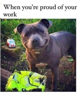 Stupid Bar Memes f9b33c48fbd24572