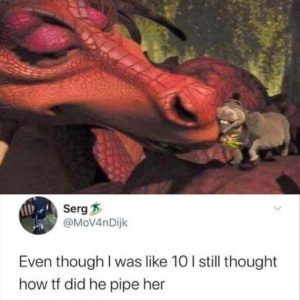 Stupid Bar Memes fB1Iyu7
