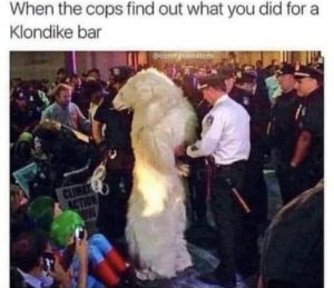 Stupid Bar Memes faf980cc0e37cfb3