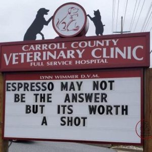 Stupid Bar Memes fb22df9ce9c45f33