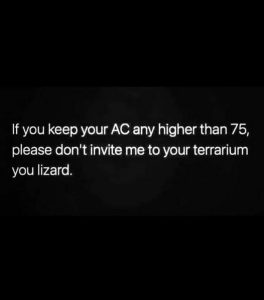 Stupid Bar Memes fd60881aef6897cd
