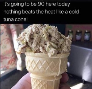 Stupid Bar Memes kfDJmpT