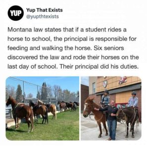 Stupid Bar Memes morningspicss3780s640s10